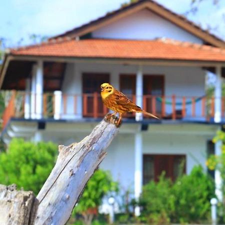 Pearl Cave Cabanas & Resturant Tangalle Luaran gambar