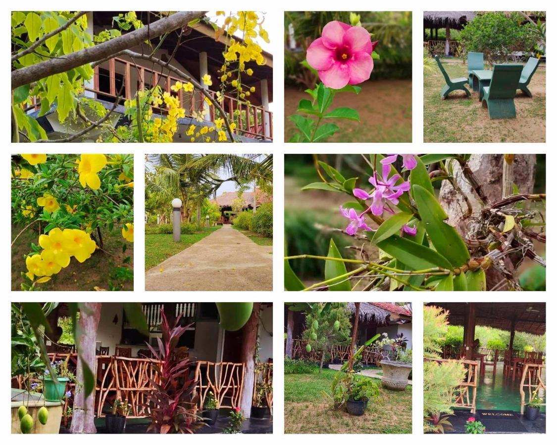 Pearl Cave Cabanas & Resturant Tangalle Luaran gambar